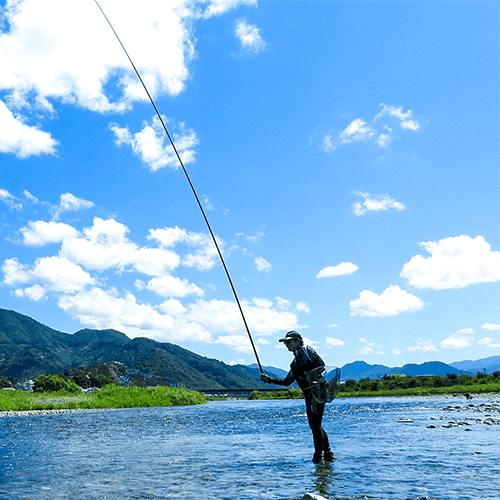 釣りアウトドアの事ならfalcon ファルコン 鮎竿 隼 はやぶさ 鶚 ミサゴ 宙飛 チュウヒ 販売中 釣りアウトドアの事ならfalcon ファルコン 鮎竿 隼 はやぶさ 鶚 ミサゴ 宙飛 チュウヒ 販売中